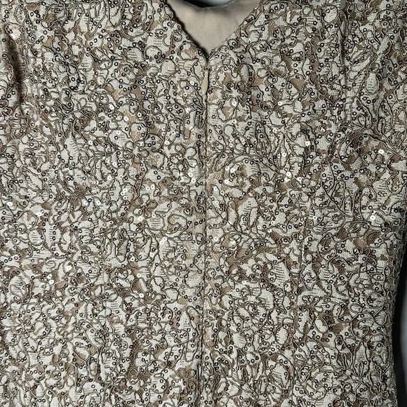 Alex Evenings Women's Long V-Neck Stretch
Sequin Corded Lace Cap Sleeve Dress - Picture 5 of 8